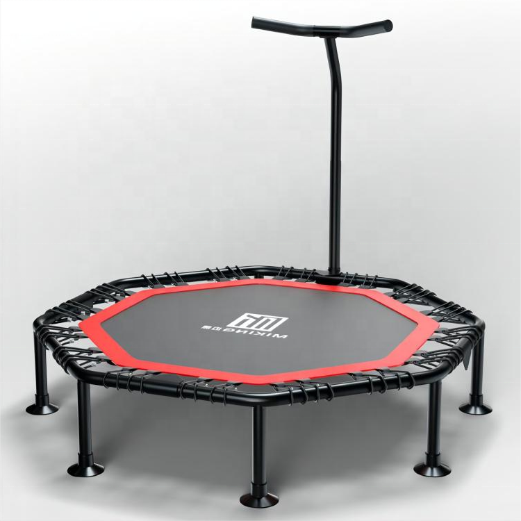 Trampoline with Adjustable Han - Home Bar And Gym avis et prix