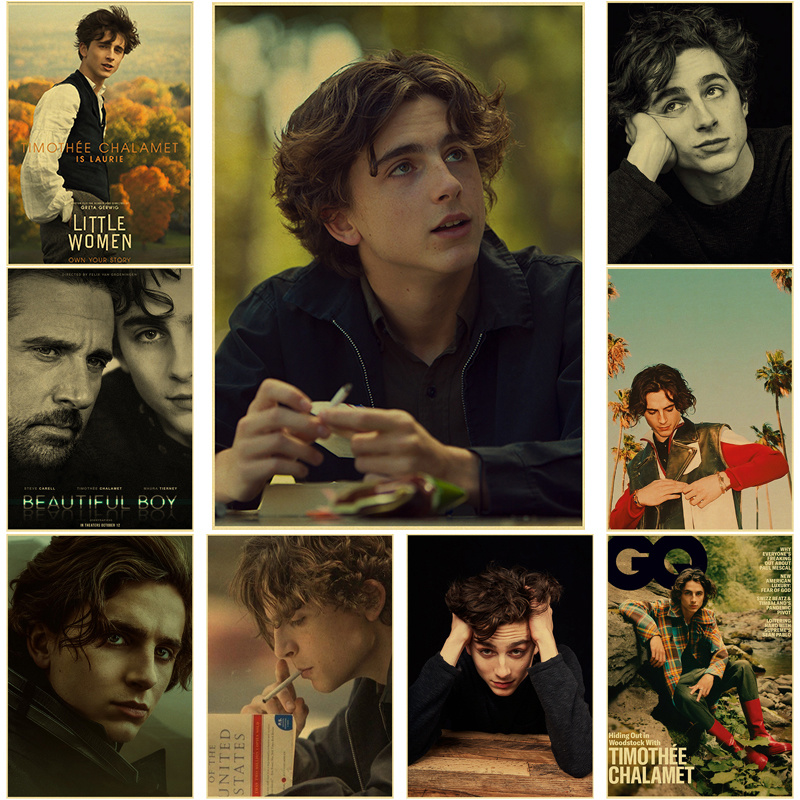 Timothee Chalamet Retro Canvas - Home Bar And Theater avis et prix