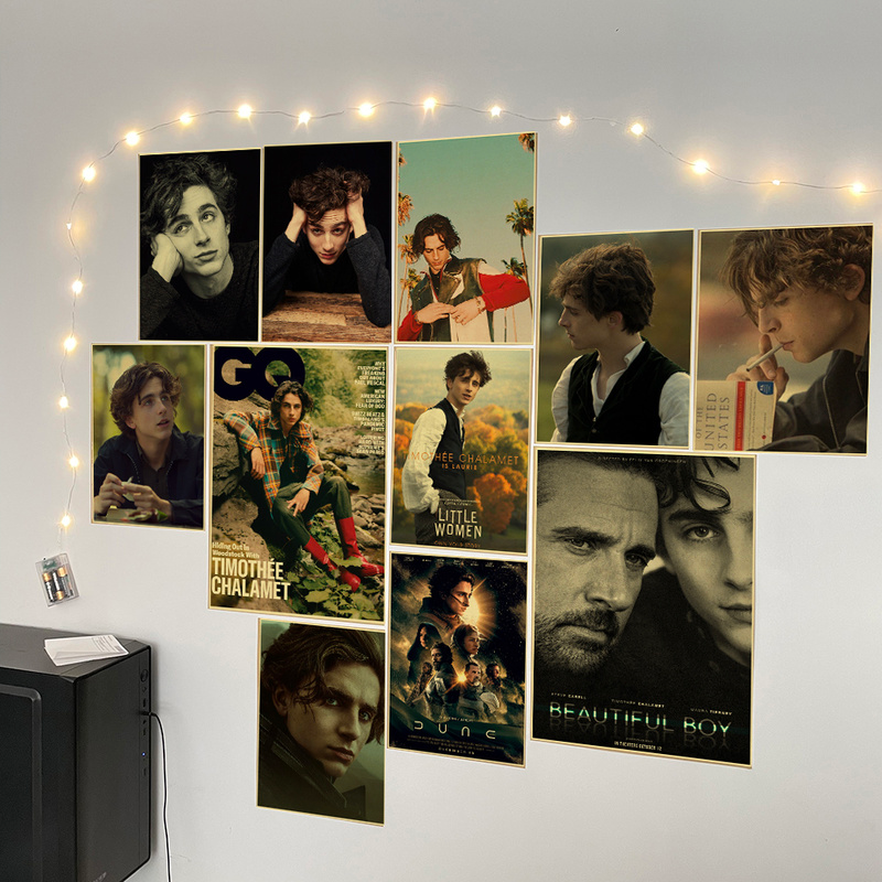 Timothee Chalamet Retro Canvas - Home Bar And Theater avis et prix