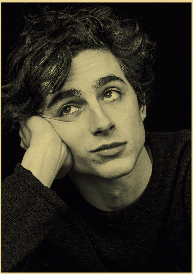 Timothee Chalamet Retro Canvas - Home Bar And Theater avis et prix